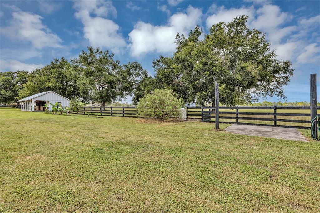 Backyard, Exterior