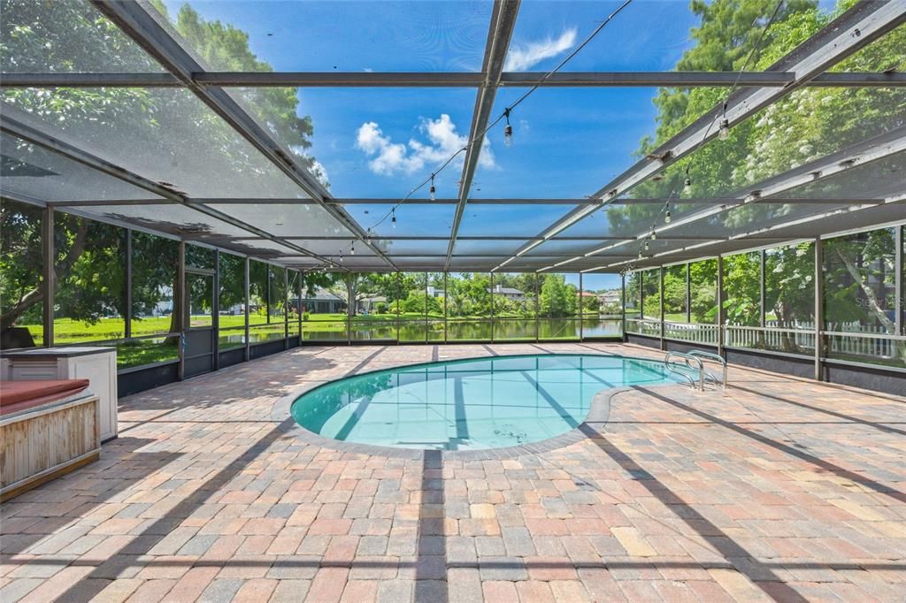 Glass Ceilings, Interior, Pool, Sun Room