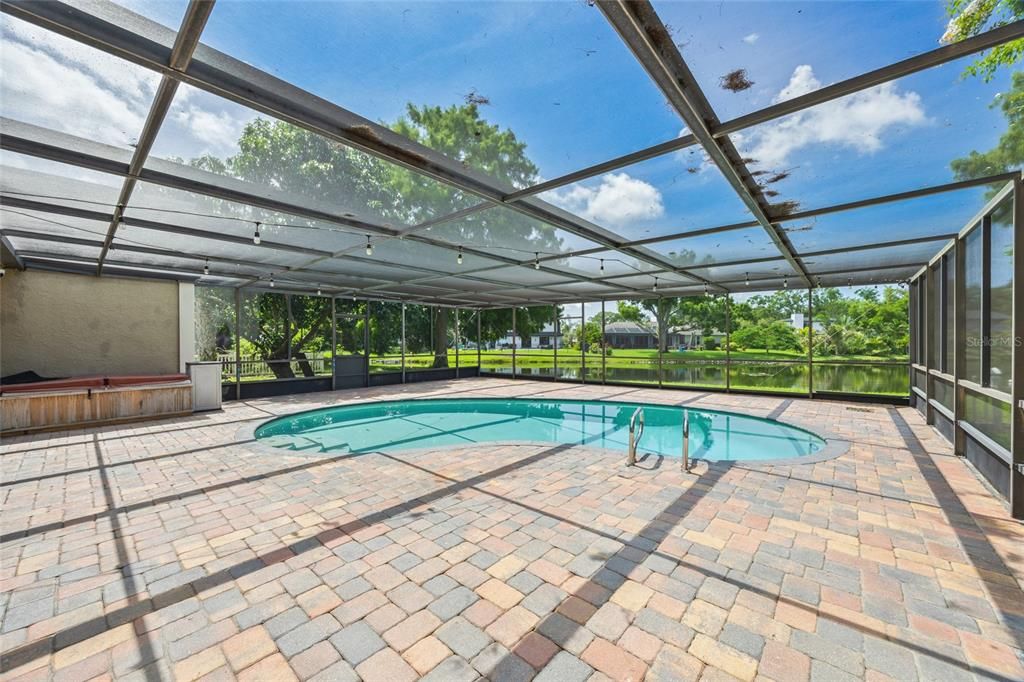 Glass Ceilings, Interior, Pool, Sun Room
