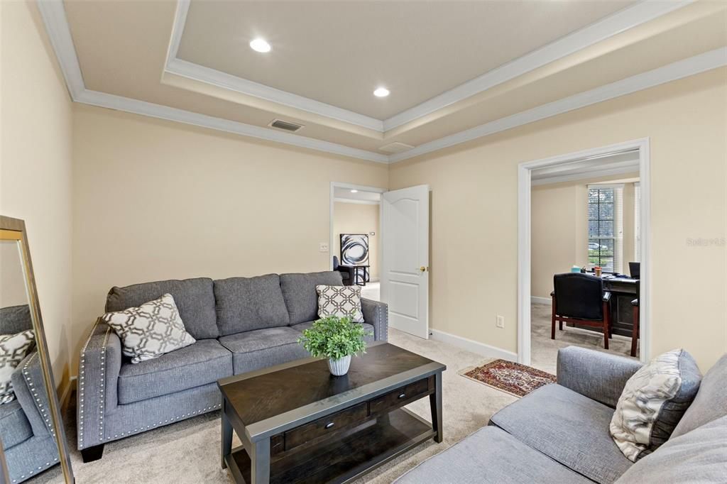 Interior, Living room, Recessed Lighting