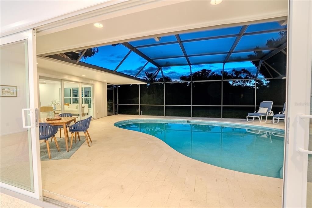 Glass Ceilings, Interior, Pool, Sun Room