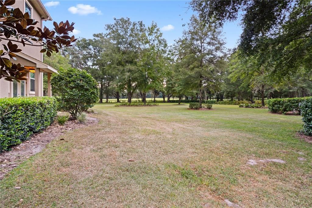 Backyard, Exterior