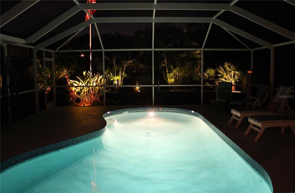 Glass Ceilings, Interior, Pool, Sun Room
