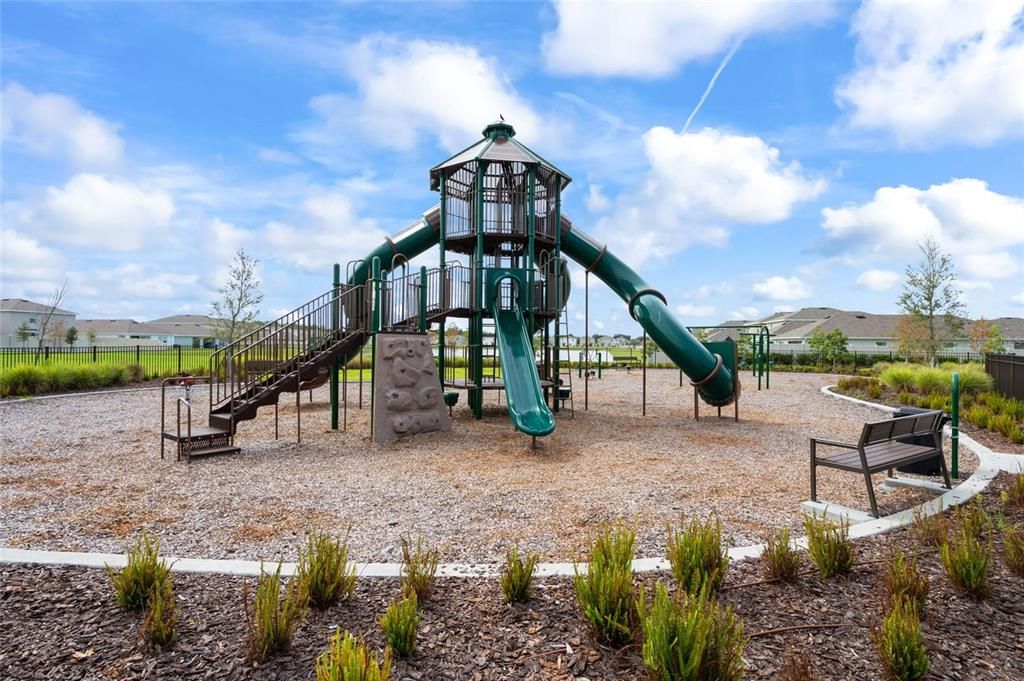 Backyard, Exterior, Playground