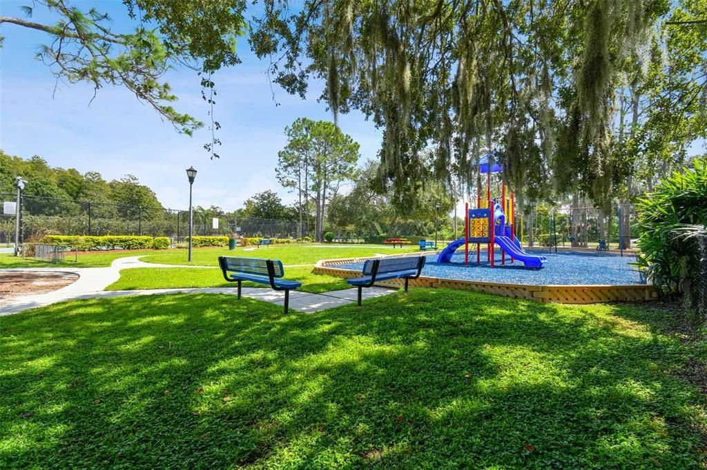 Backyard, Exterior, Playground