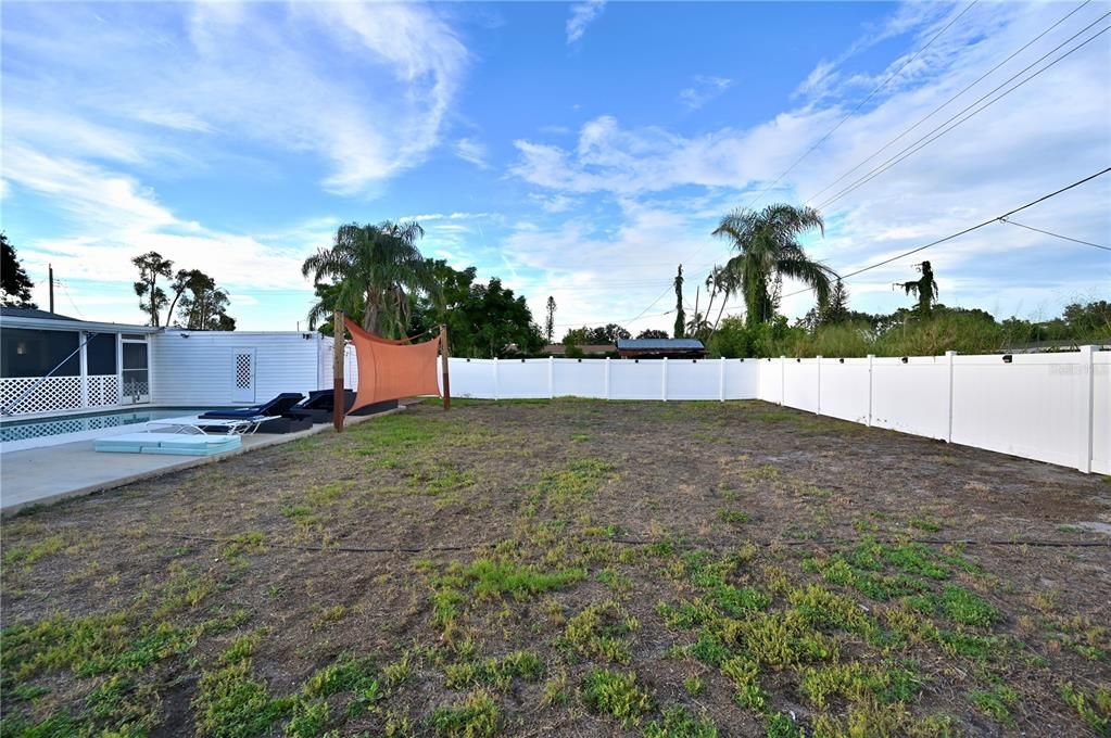 Backyard, Exterior