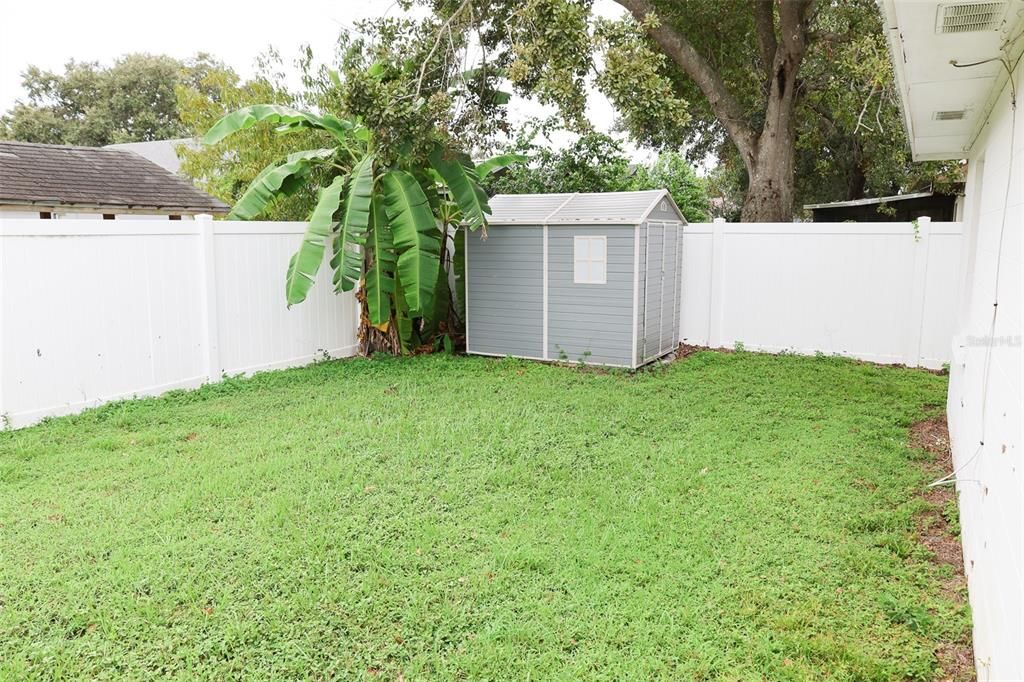 Backyard, Exterior