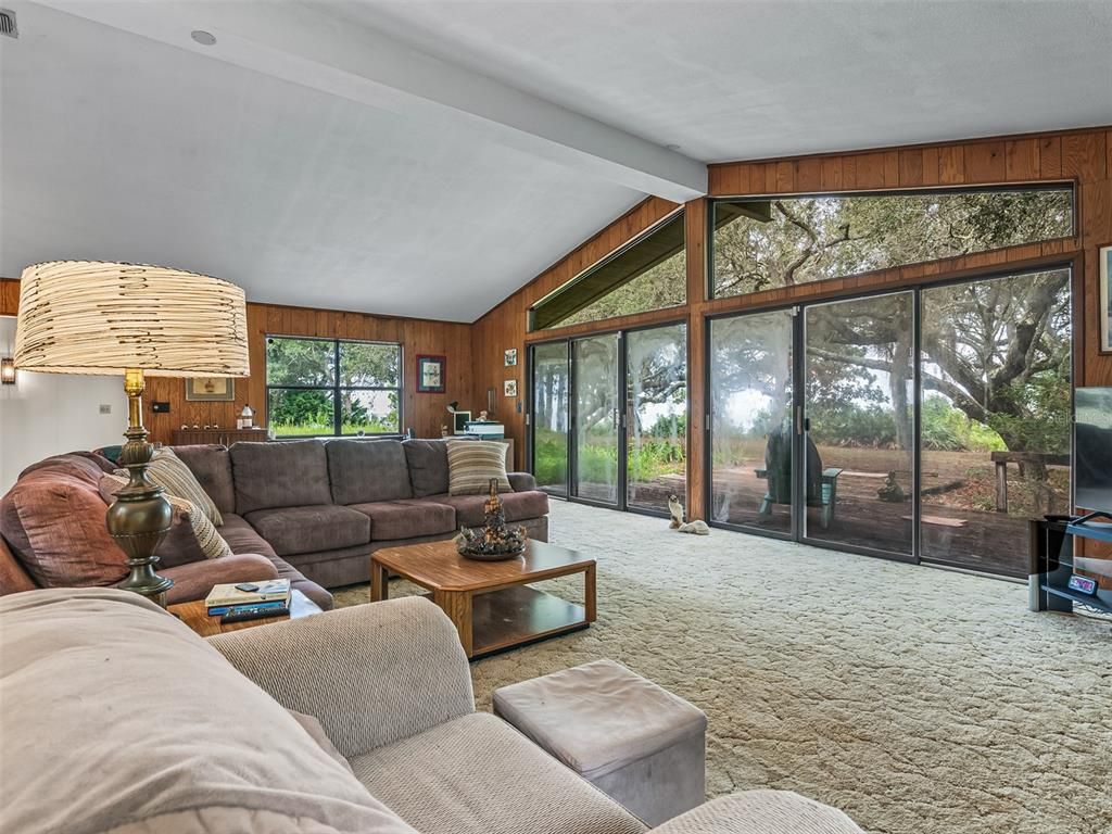 Interior, Living room, Wooden Walls