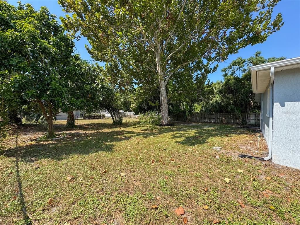 Backyard, Exterior