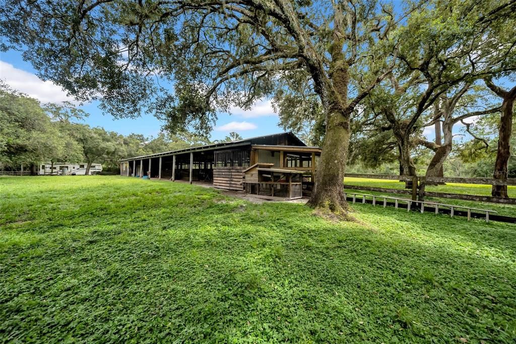 Backyard, Exterior