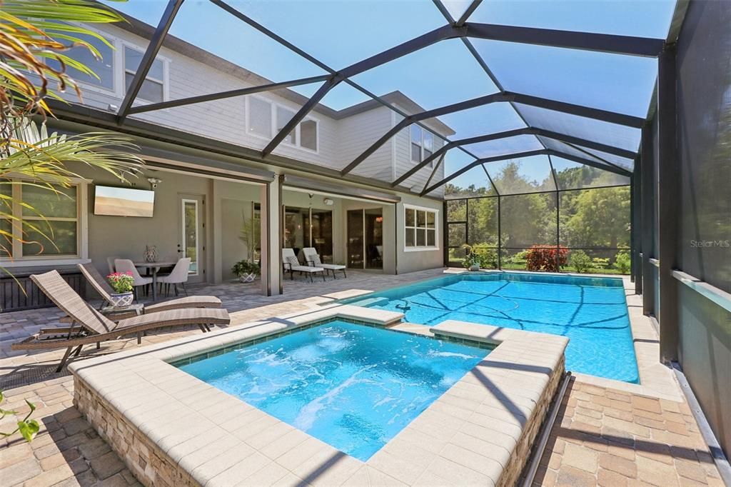 Glass Ceilings, Interior, Pool, Sun Room