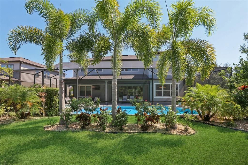 Backyard, Exterior, Pool