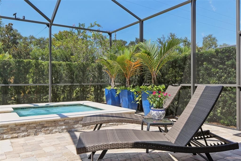 Glass Ceilings, Interior, Pool, Sun Room