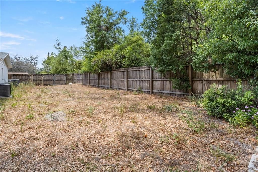 Backyard, Exterior