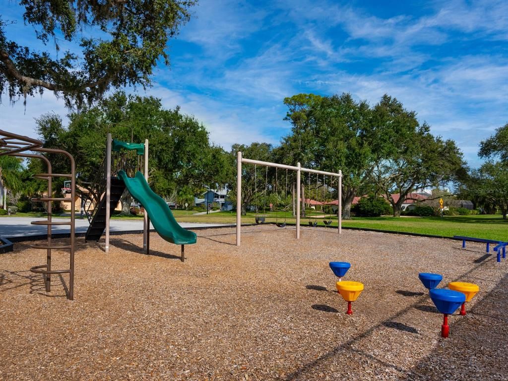 Backyard, Exterior, Playground