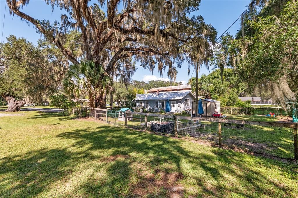 Backyard, Exterior
