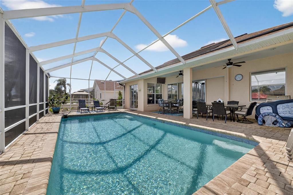 Glass Ceilings, Interior, Pool, Sun Room