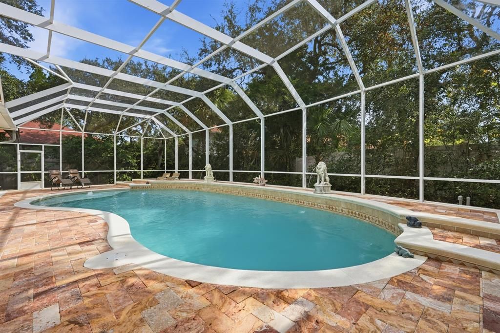 Glass Ceilings, Interior, Pool, Sun Room