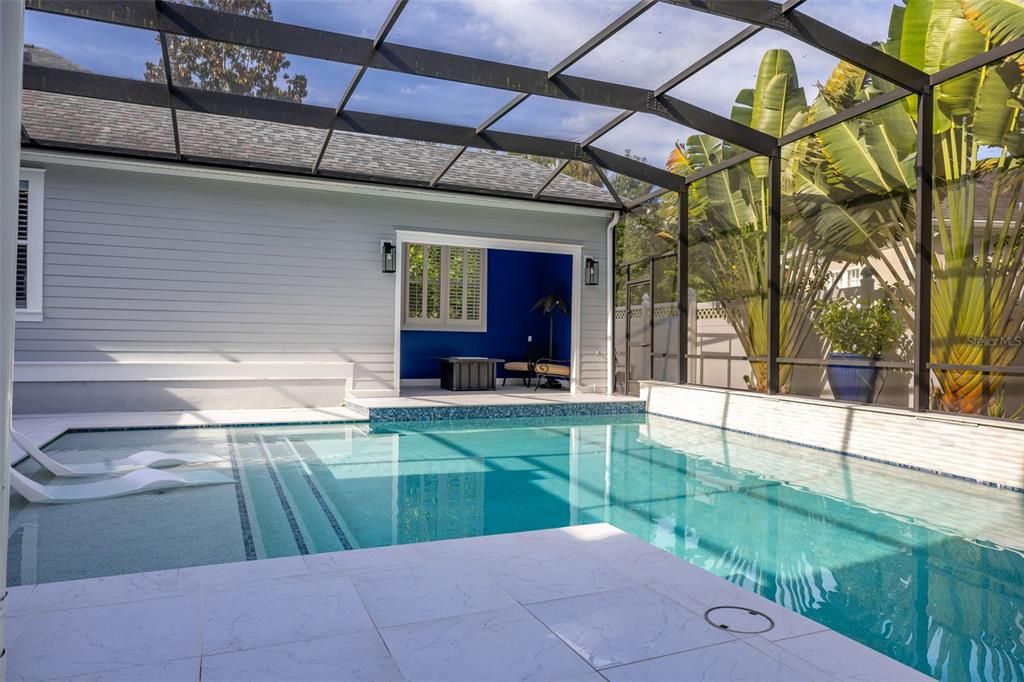 Glass Ceilings, Interior, Pool, Sun Room