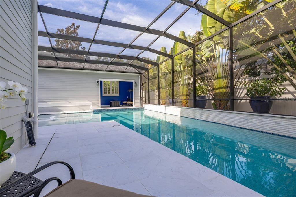 Glass Ceilings, Interior, Pool, Sun Room