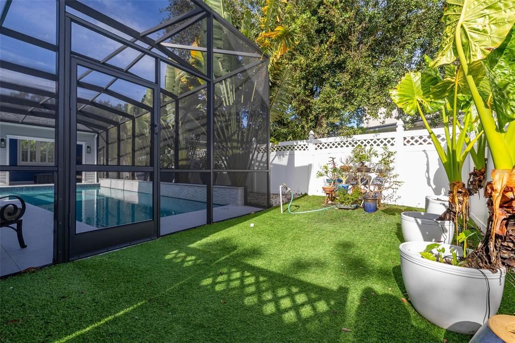 Backyard, Exterior, Sun Room