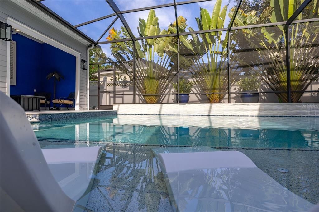 Glass Ceilings, Interior, Pool, Sun Room