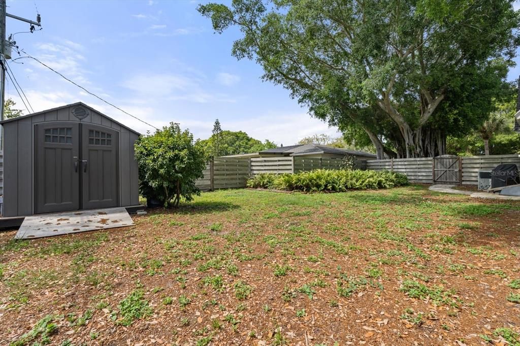 Backyard, Exterior