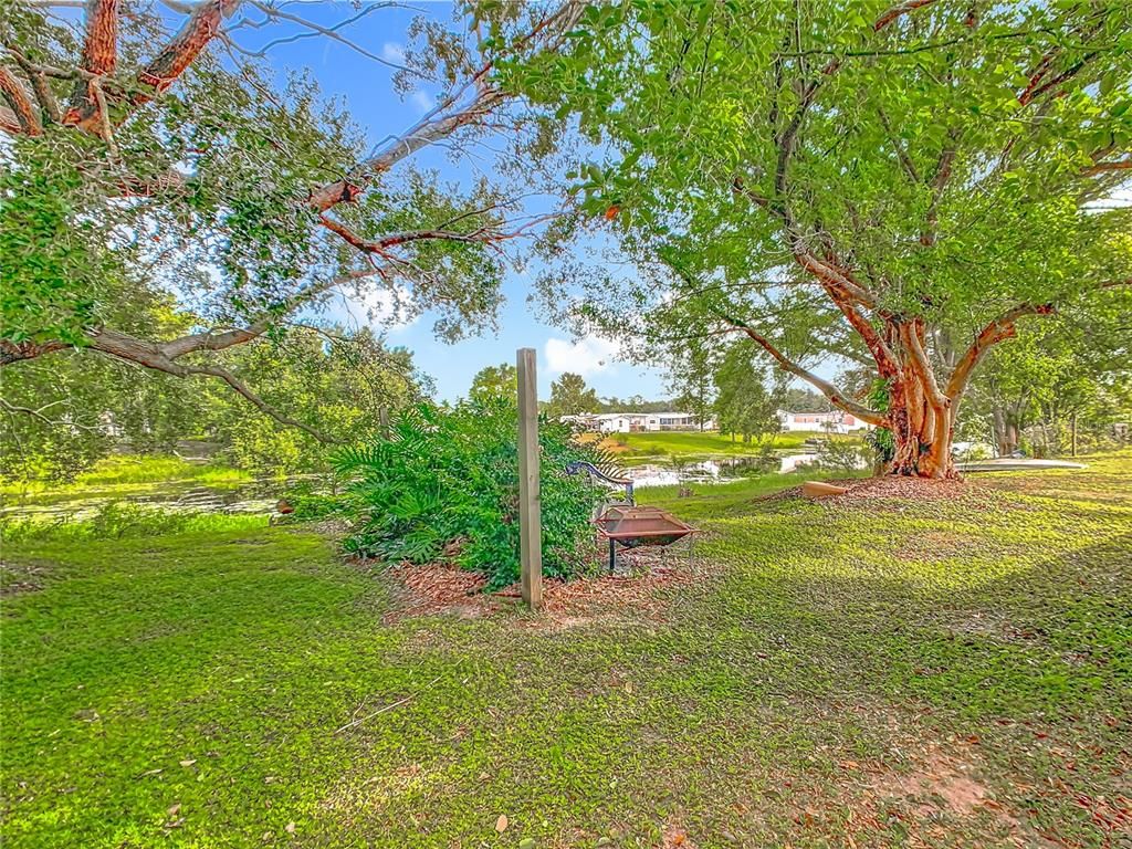 Backyard, Exterior, Water