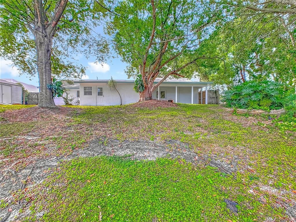Backyard, Exterior