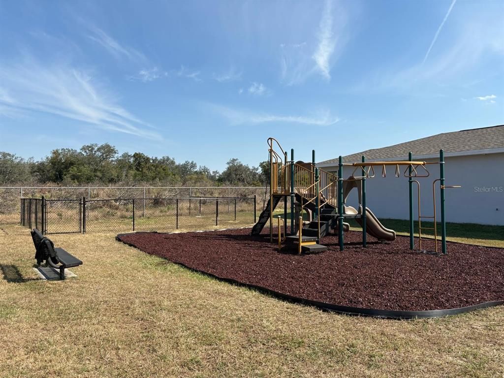 Backyard, Exterior, Playground