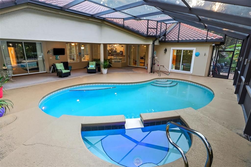 Glass Ceilings, Interior, Pool, Sun Room