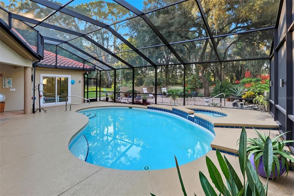 Glass Ceilings, Interior, Pool, Sun Room