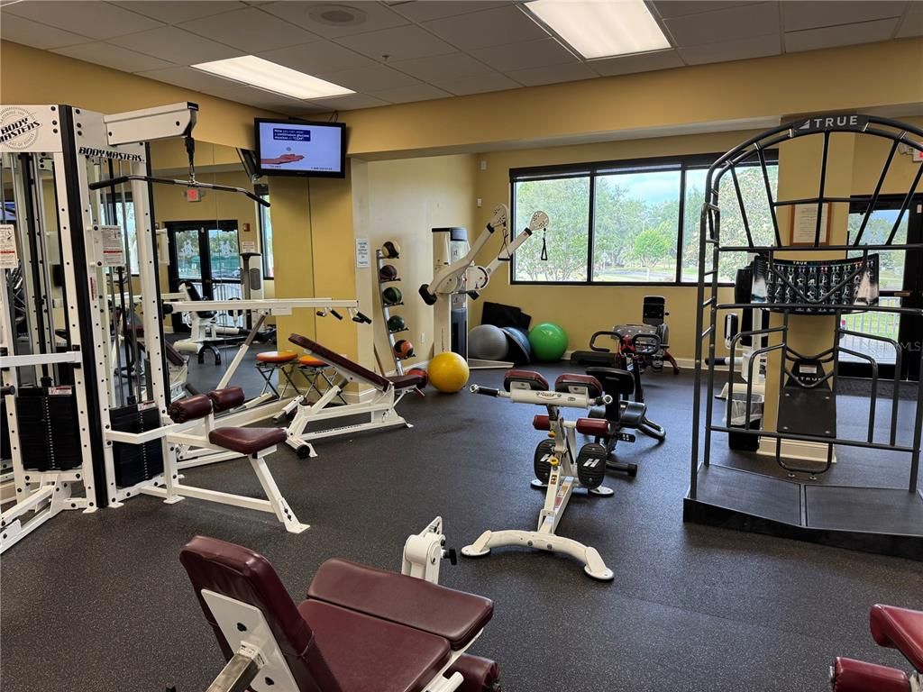 Fitness Equipment, Gym, Interior, Recessed Lighting