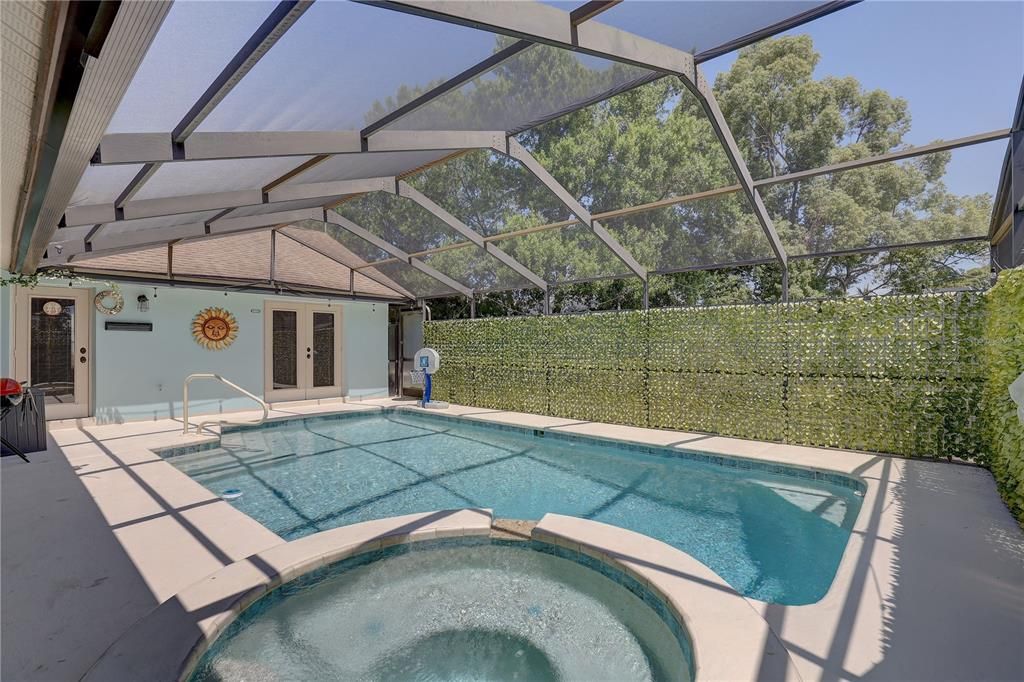Glass Ceilings, Interior, Pool, Sun Room