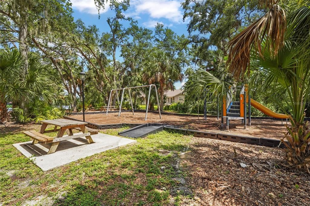 Backyard, Exterior, Playground