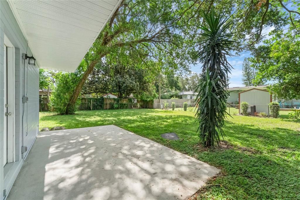 Backyard, Exterior