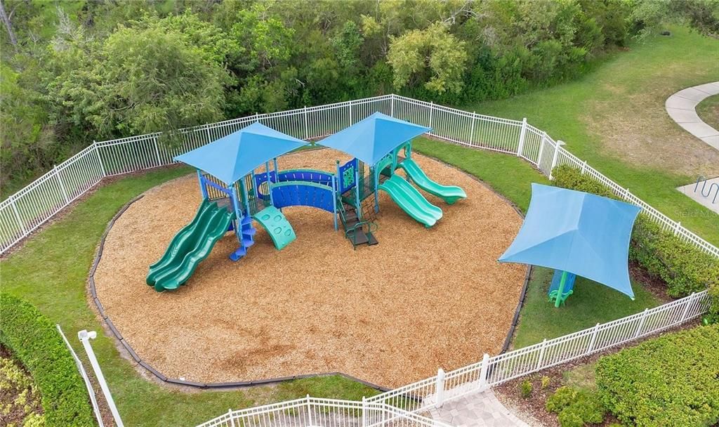 Backyard, Exterior, Playground