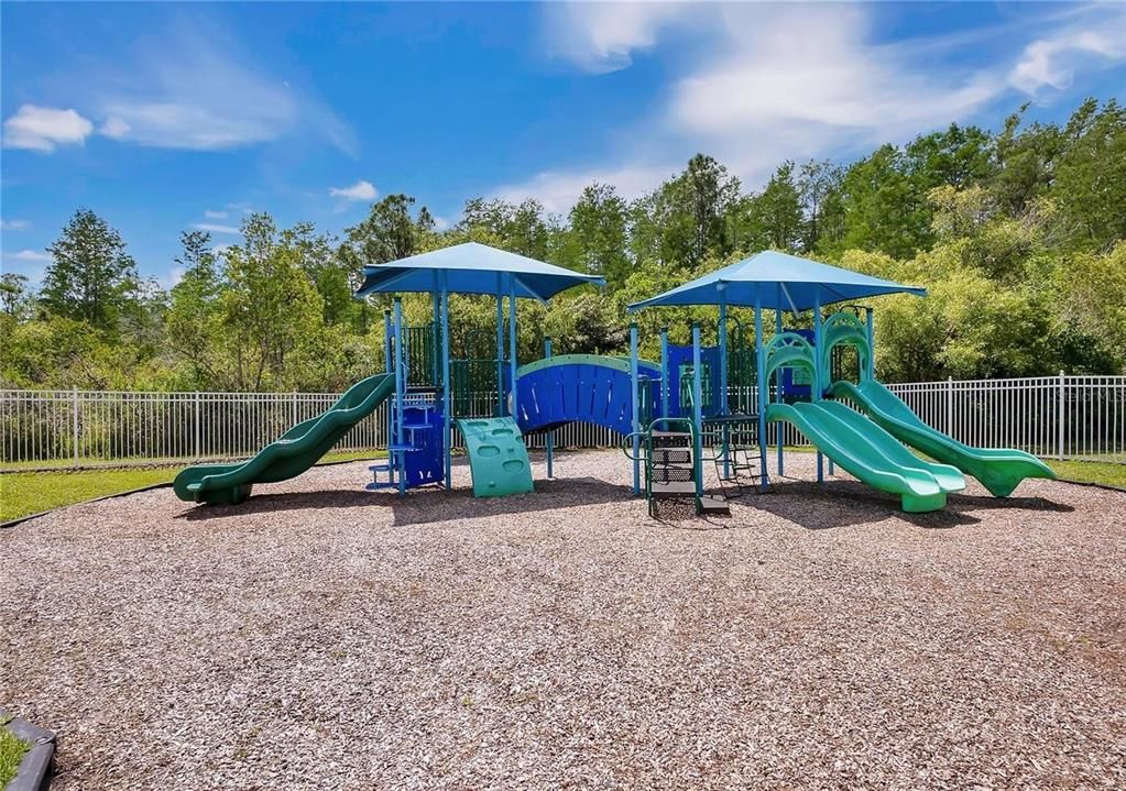 Backyard, Exterior, Playground
