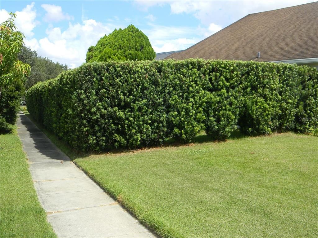 Backyard, Exterior