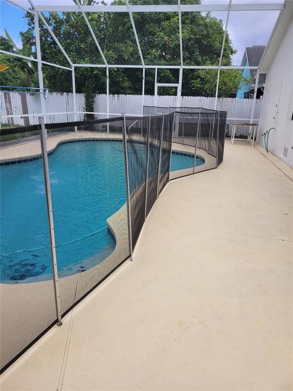 Glass Ceilings, Interior, Pool, Sun Room