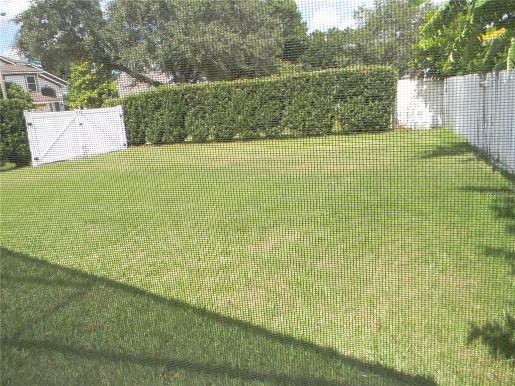 Backyard, Exterior