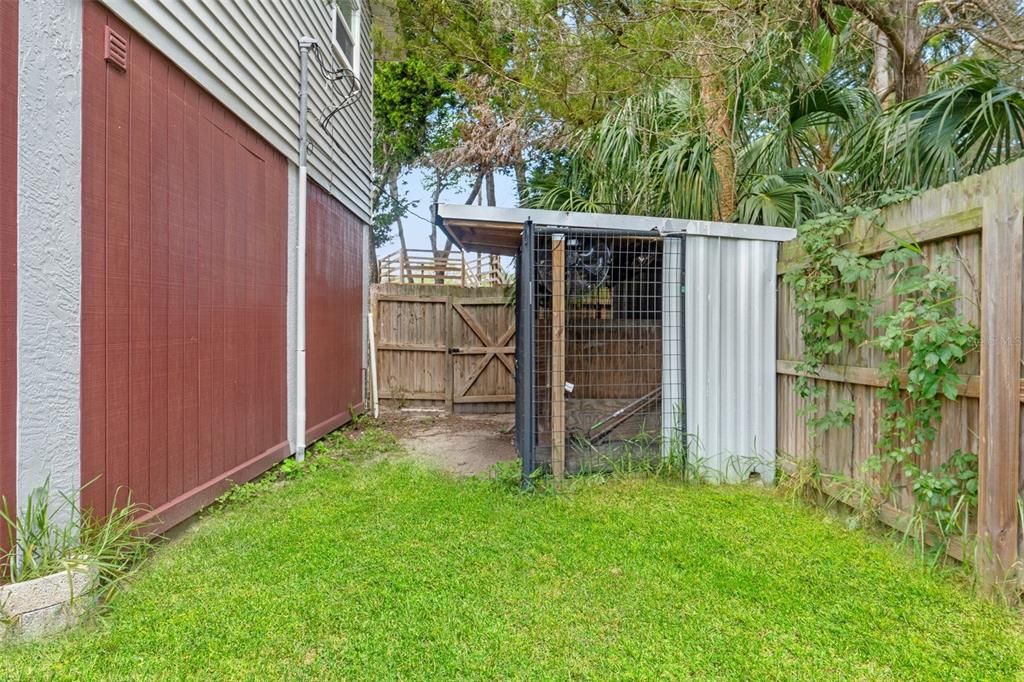 Backyard, Exterior