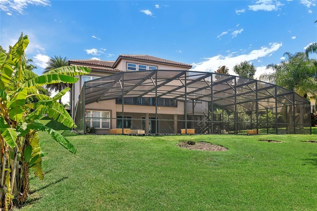Backyard, Exterior