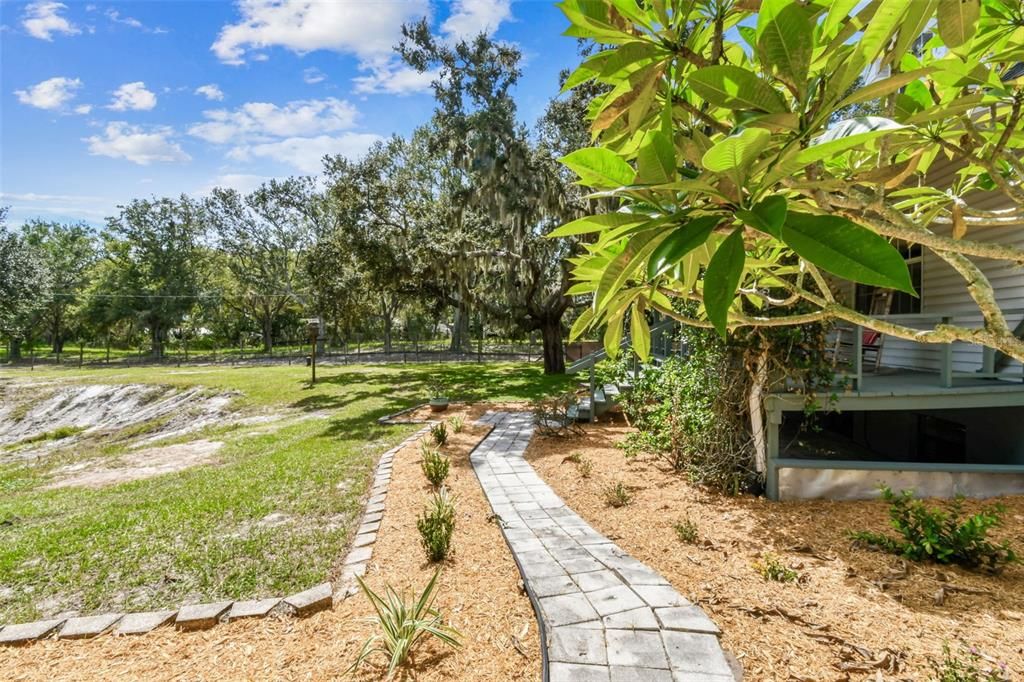 Backyard, Exterior