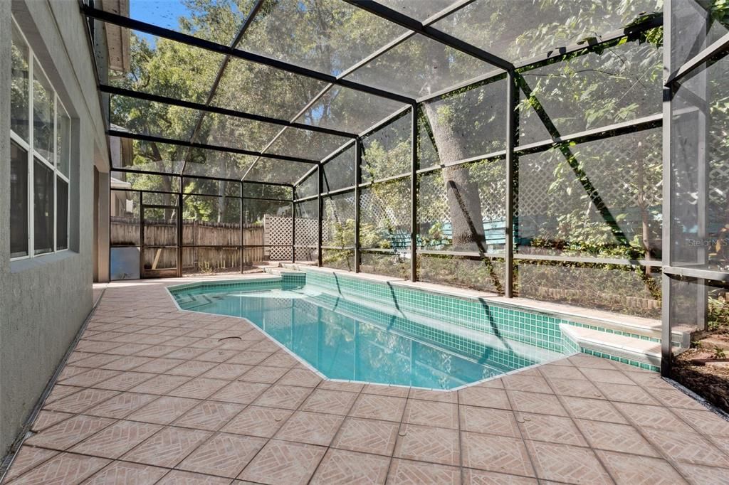 Glass Ceilings, Interior, Pool, Sun Room