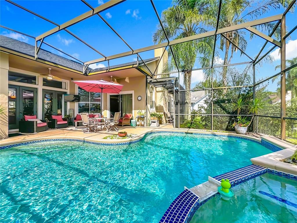 Glass Ceilings, Interior, Pool, Sun Room