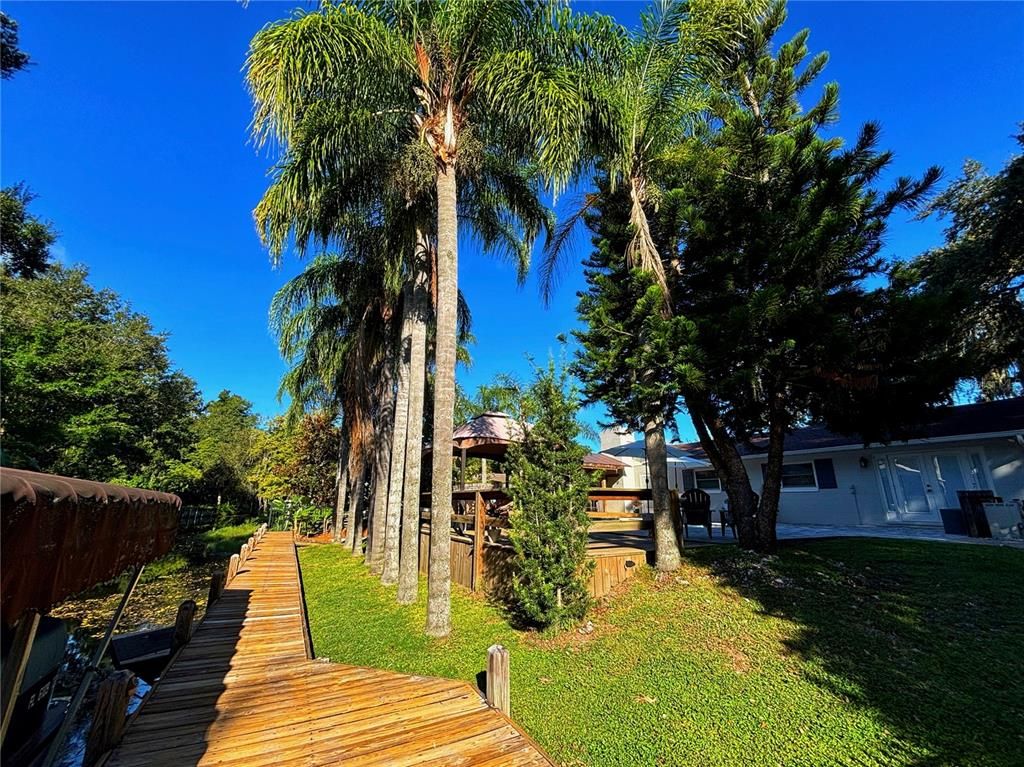 Backyard, Exterior