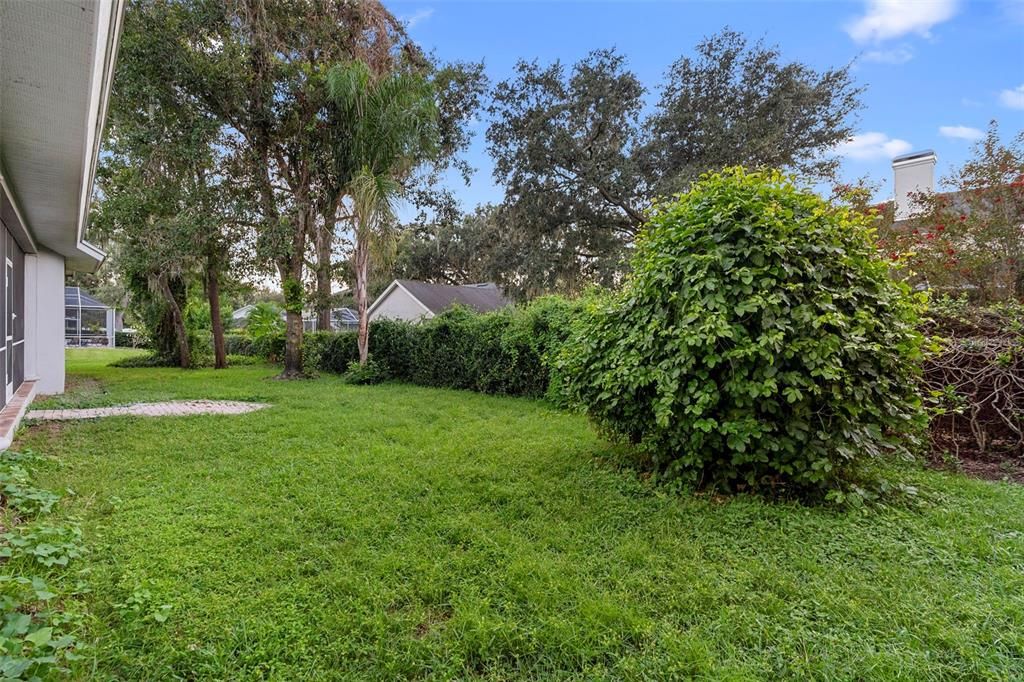 Backyard, Exterior