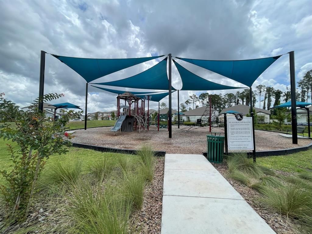 Backyard, Exterior, Playground