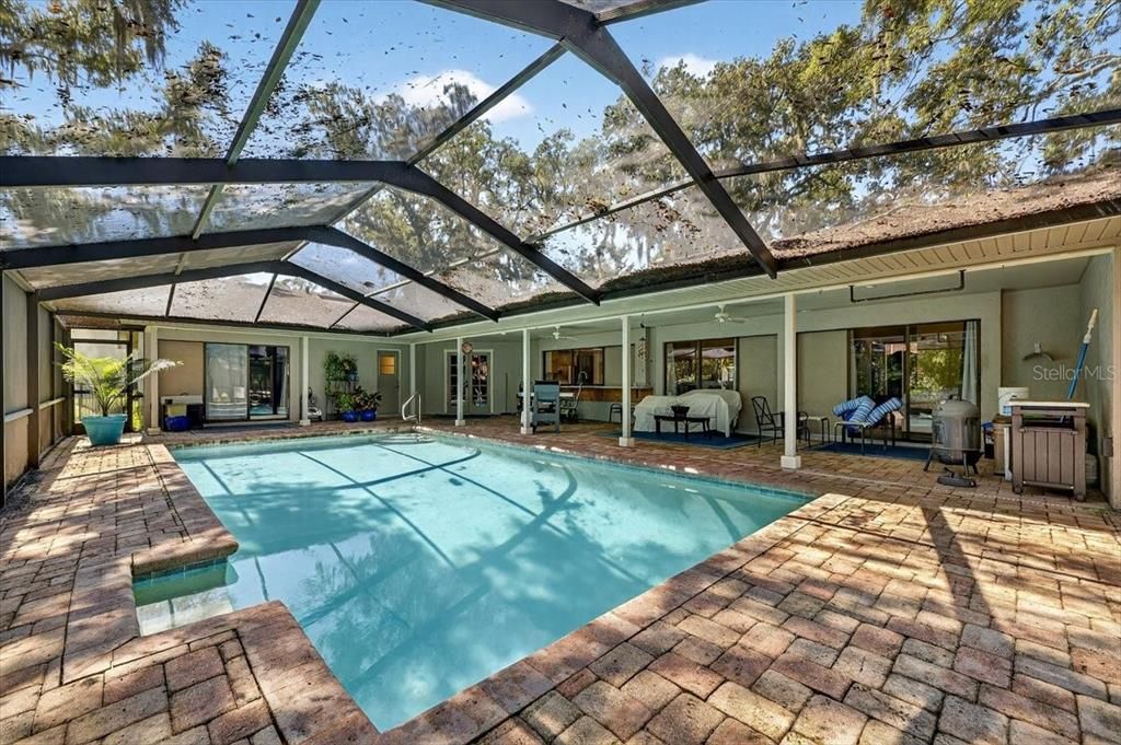 Glass Ceilings, Interior, Pool, Sun Room